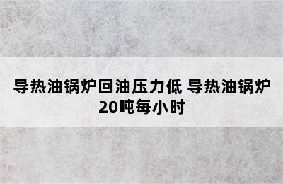 导热油锅炉回油压力低 导热油锅炉20吨每小时